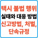 서구-02-112 | 외국인 택시 불법 행위의 실태와 대응 방법, 신고방법, 처벌, 단속규정