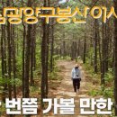 구봉산 어사길 이미지