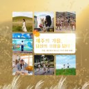 노을숲제주 이미지