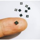 이와이엘 이미지