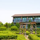 애견샵 어린왕자 이미지