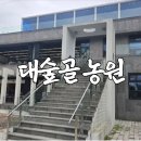순천 가볼만한 추천 맛집, 대숲 속 힐링 한끼 ‘대숲골 농원’
