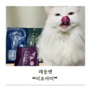 [레옹펫] 미요야미 후기