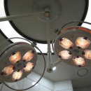 담은동물병원 이미지