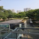 행복골프안산스마트 | 베트남 다낭 골프여행 몽고메리cc 라운딩 후기