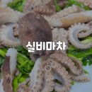 실비마차 이미지