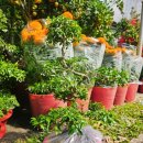 시장 앞 공터 이미지