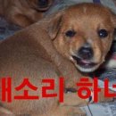 복 이미지