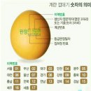 청솔계란