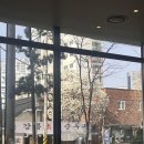 인천성모병원 자궁근종 로봇수술 후기 and 자궁질환에 좋은 음식 찾아봄