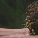 티알트리니티라파엘로청담의원 이미지