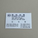현대광학 | [일상] 종로 세운상가 빈티지 카시오 엑슬림 H10 디카 구매 성공 후기(🩷현대양행) + 촬영사진