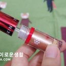 욜로독 이미지