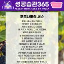 포도나무365 이미지