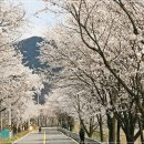 강변의 수채화 이미지