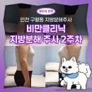 인하로R | 인천 지방분해주사 일자팔뚝 도전! 2주차