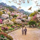 난장 - 삼척시 | 난장
