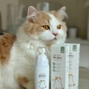 냥쌤 쏙쏙 깨비 클리너 | 고양이 턱드름 관리템 추천!