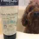 안덴탈랩 이미지