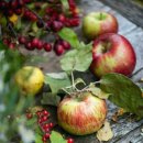 (춤)설장구 이미지