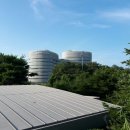 CJ BLOSSOM PARK 이미지