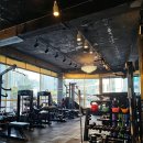 팀현gym 이미지