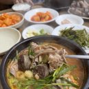 금암피순대 이미지