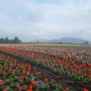 이종인농장 이미지