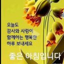 푸른향기 이미지