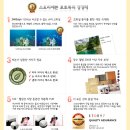 세븐스토리7 이미지