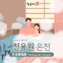 청일탕