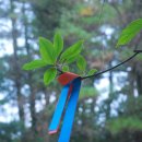 제주하도바당 이미지