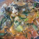 문라이트캠핑장 이미지