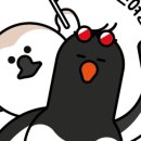 비즈하이브