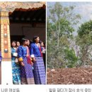 송파민보