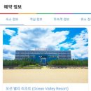메밀꽃밸리1 이미지