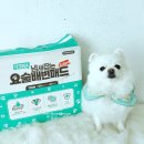 배변의기술 | 페츠모아 냄새잡는 요술배변패드 후기