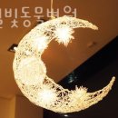 개포별빛동물병원 이미지