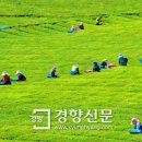 DUK농장 이미지