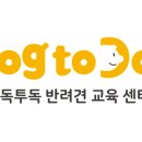 매너독반려견교육센터 네이버블로그