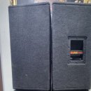 DART 진공관 앰프 LEAD135W + dart 스피커 1조, Legend LA 15인치 패시브 스피커 이미지