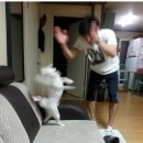 이번역