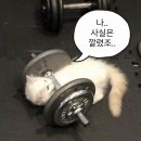 오거리하이퍼 | 한남동 헬스장 한남동PT 한남동 필라테스ㅣ&#39;스포짐 한남&#39;(가격, 위치, 주차 등)
