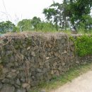 진고마을 이미지