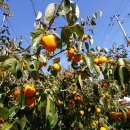 서동민박 이미지