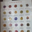 꽃을담따 네이버블로그
