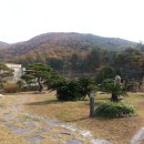 형주병원 Daum카페