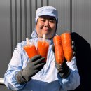 흥미로운 회사 생활 1 (내용추가) 이미지