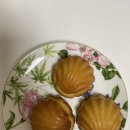 키토키토 이미지