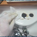 세면대막힘 키다리누수마스터의 빠르고 정확한 서비스 후기